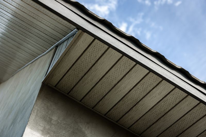 Garage Fascia Repair in Conroe, TX