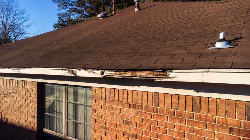 Soffit Damage Repair in Conroe, TX